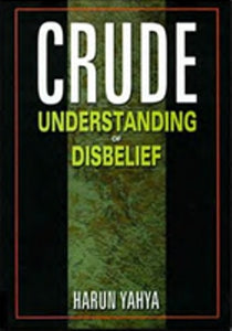 Crude Understanding of Disbelief