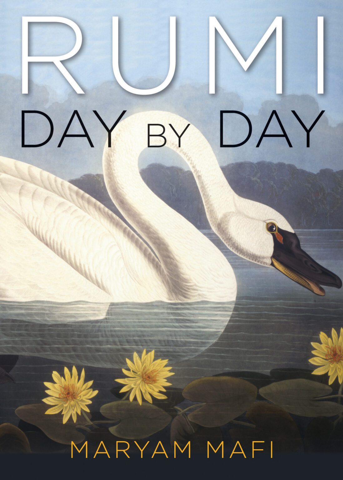 Us Rumi Rumi, Day by Day – Rumi Bookstore