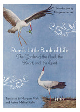 Load image into Gallery viewer, Rumi's Little Book of Life
