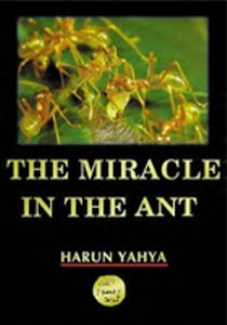 The Miracle in the Ant