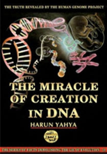 The Miracle of Creation in DNA