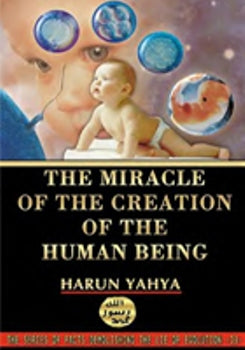 The Miracle of Human Creation