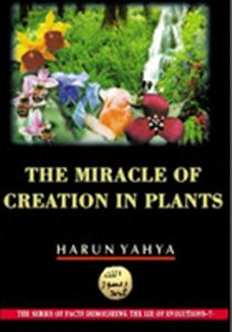 The Miracle of Creation in Plants